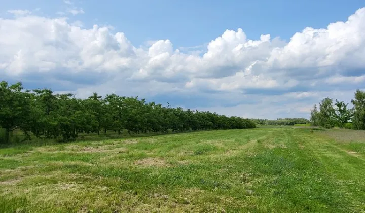 Działka rolna Stefanków