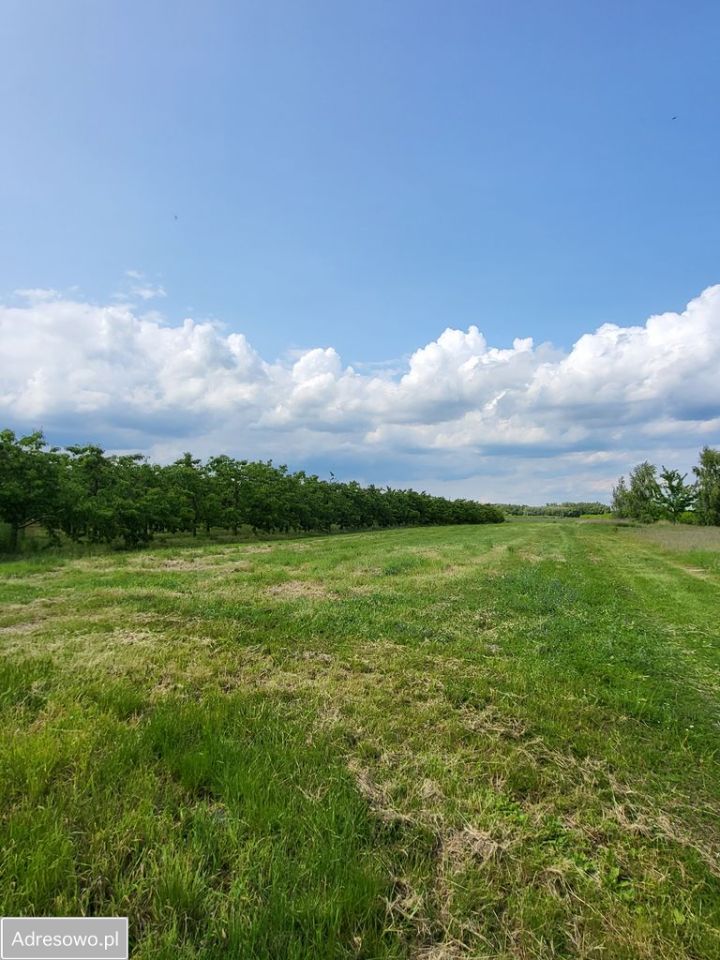 Działka rolna Stefanków