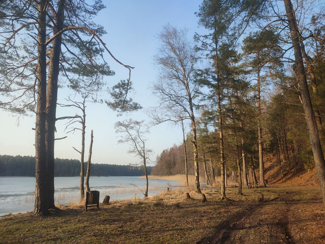 Działka rolno-budowlana Rekowo. Zdjęcie 4