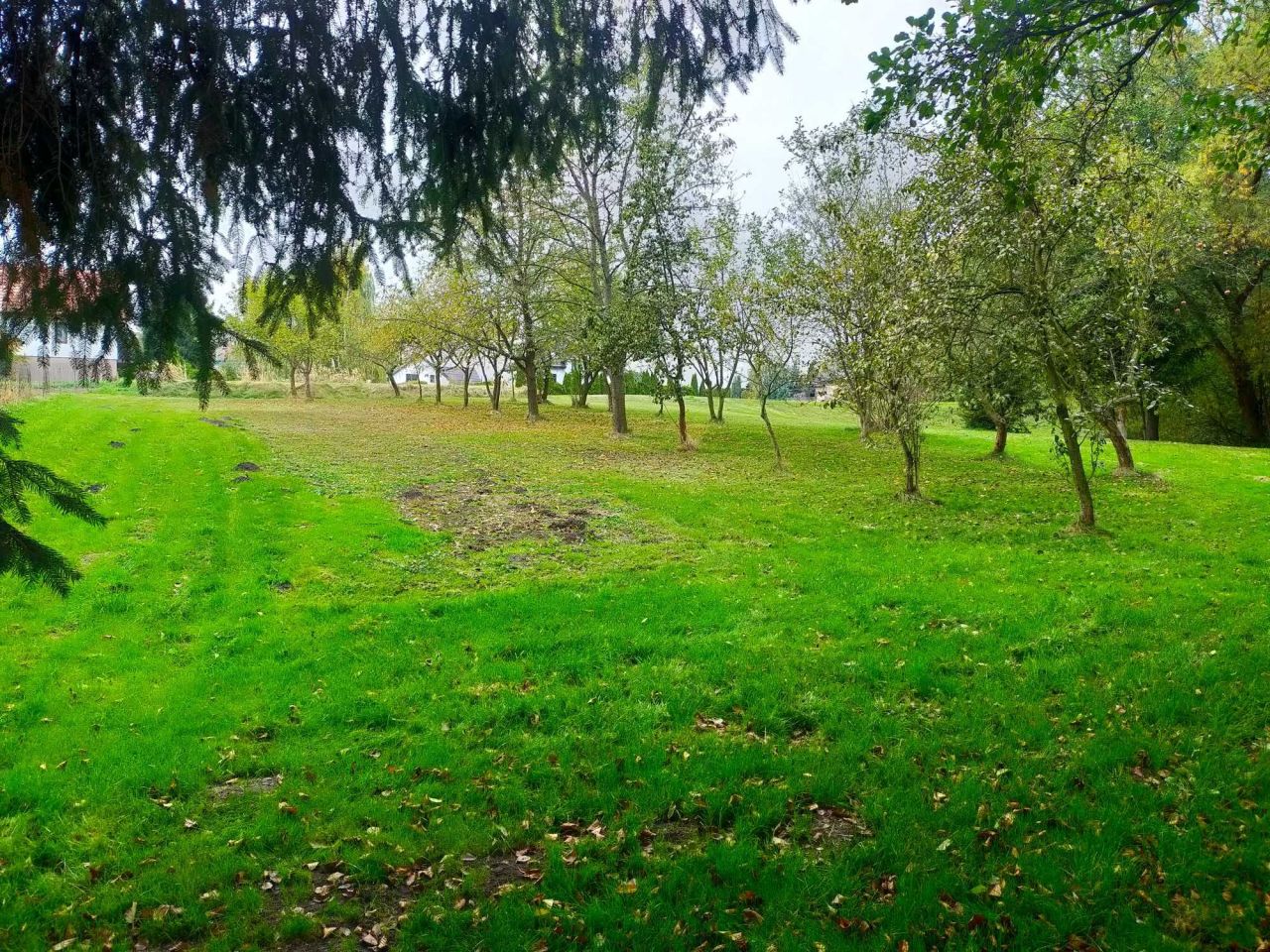 Działka budowlana Brzezie. Zdjęcie 3