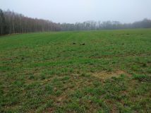 Działka rolna Ciszkowo. Zdjęcie 4