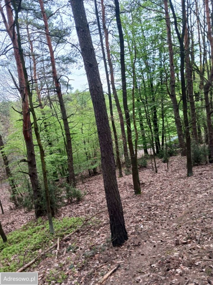 Działka Michałów. Zdjęcie 4