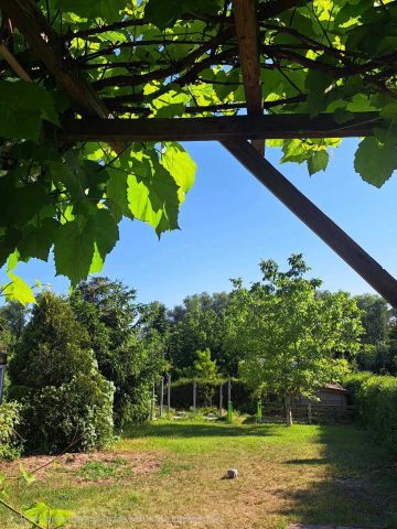 Działka rod Tomaszów Mazowiecki. Zdjęcie 1