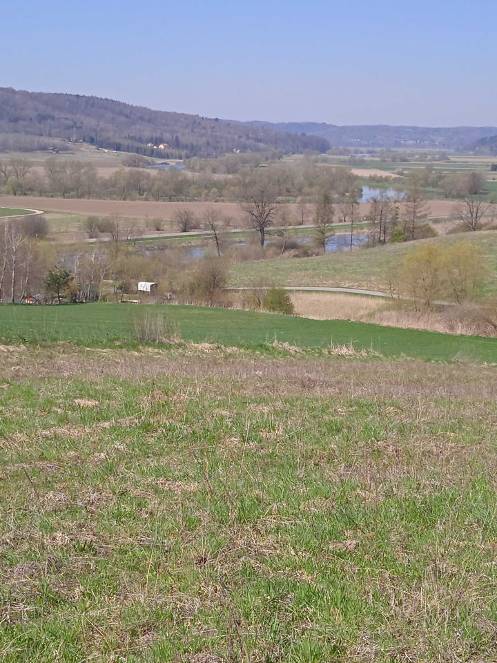 Działka budowlana Krzywcza. Zdjęcie 6