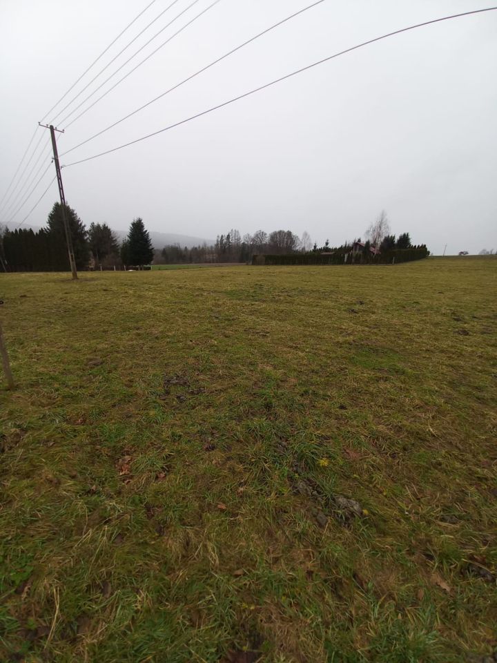 Działka rolno-budowlana Reczpol Przedchołowice. Zdjęcie 7