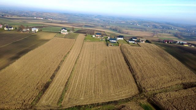 Działka rolna Gniazdowice. Zdjęcie 3