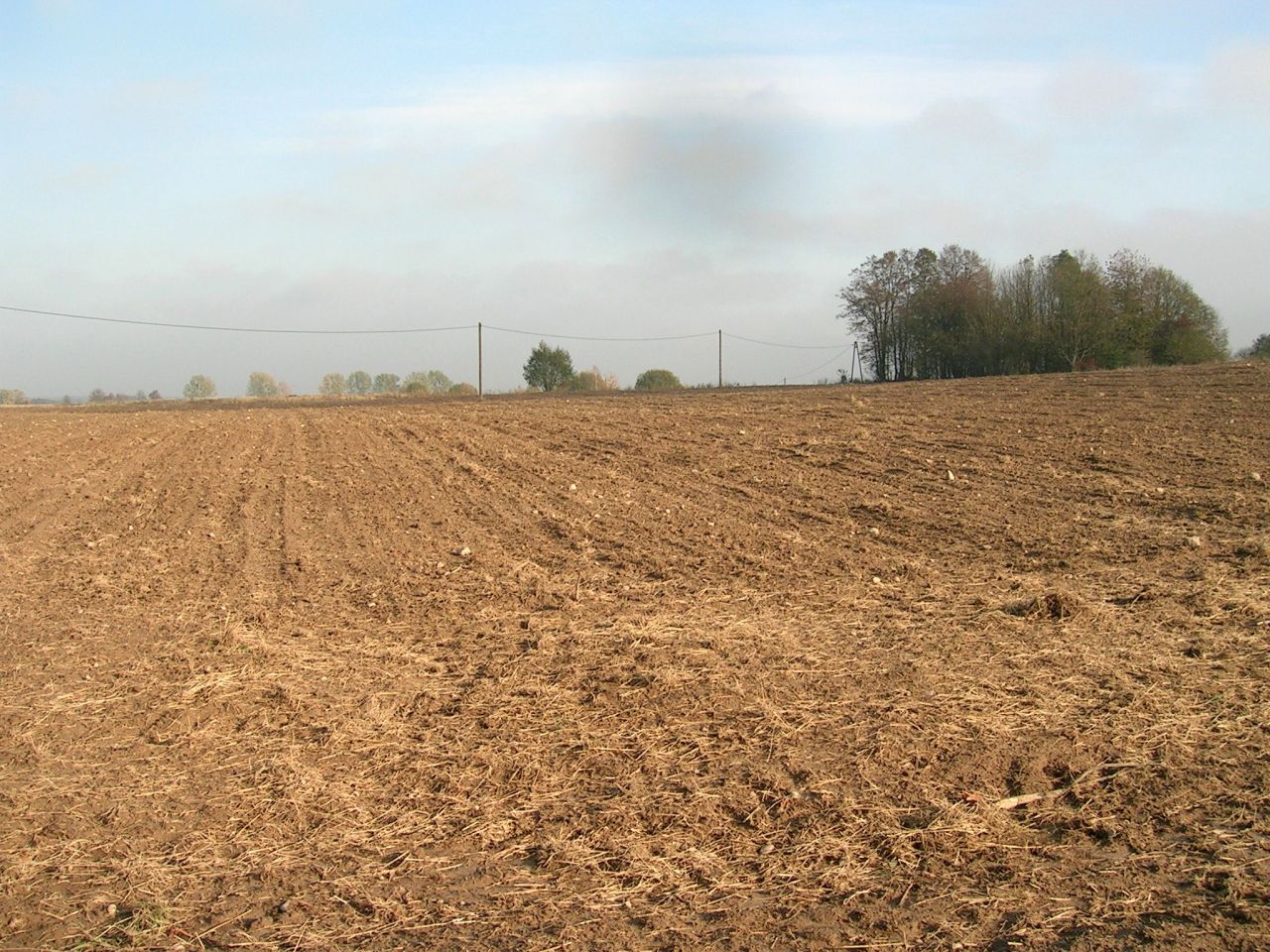 Działka rolna Strużyna. Zdjęcie 2