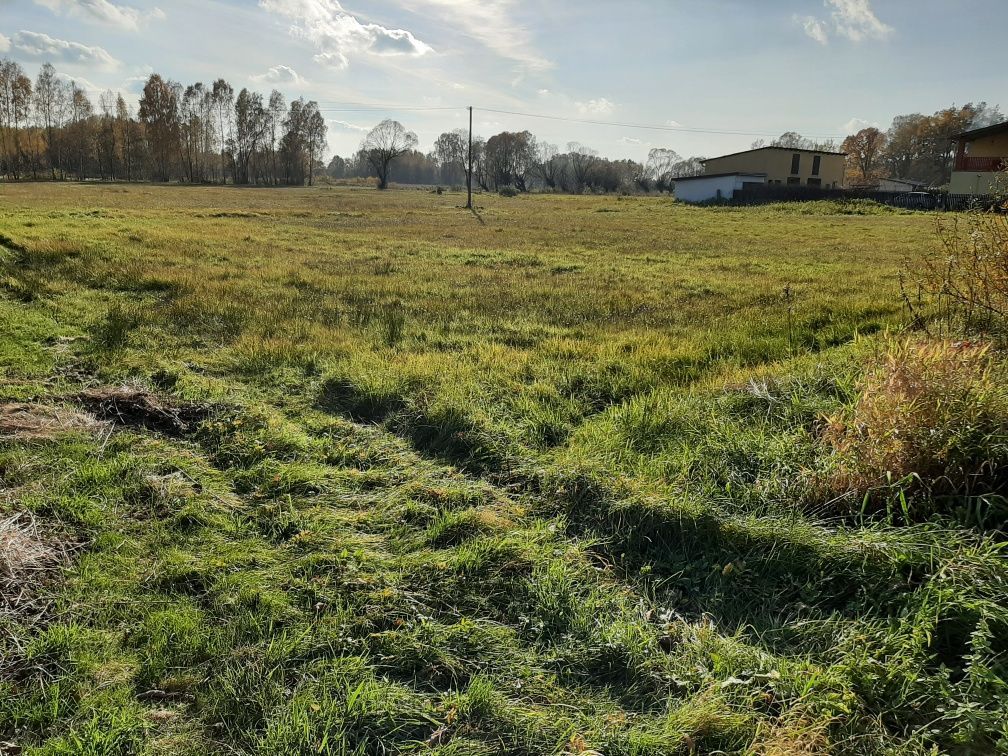 Działka rolno-budowlana Mokra Wieś Zalesie. Zdjęcie 6