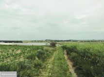 Działka rolna Czachorowo