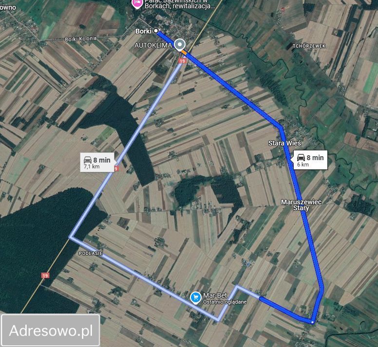 siedlisko Tchórzew-Kolonia. Zdjęcie 11