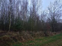 Działka rolna Mściszewice Bębny. Zdjęcie 3