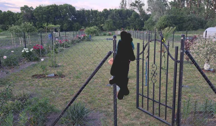 Działka rod Koroszczyn