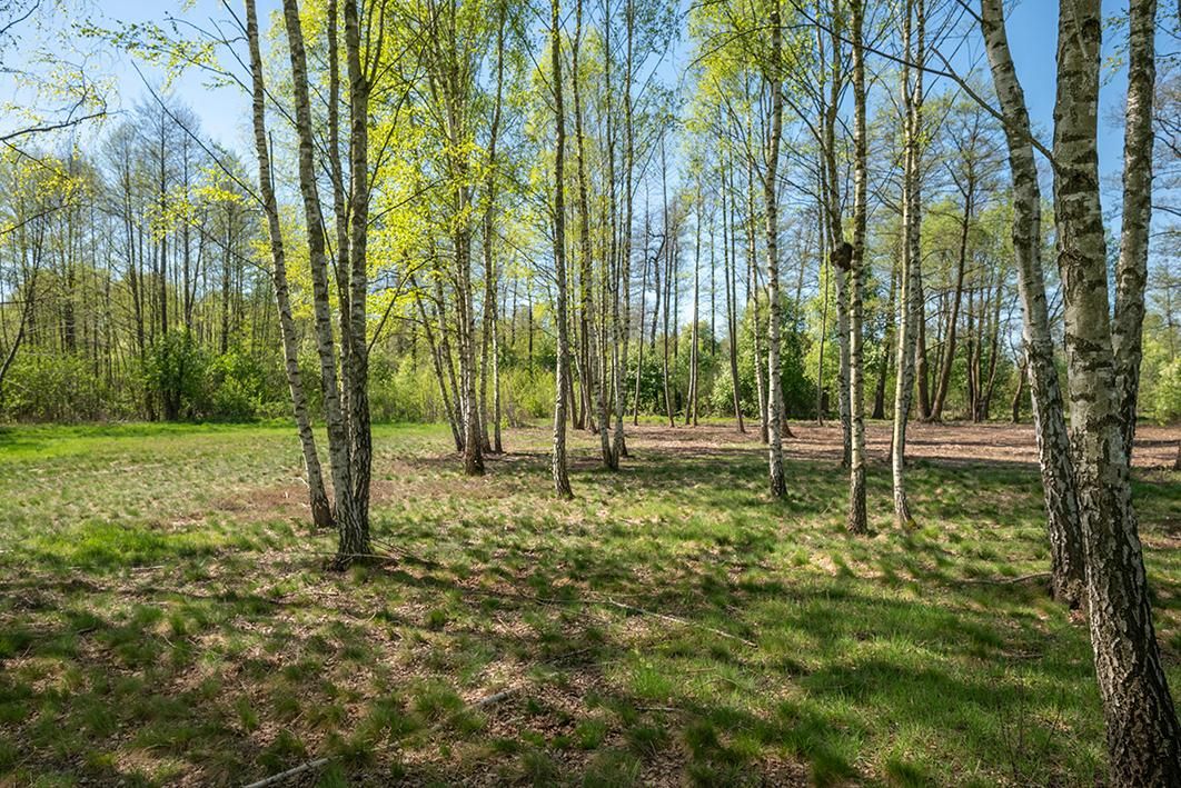 Działka budowlana Bieganów, ul. Heweliusza. Zdjęcie 7