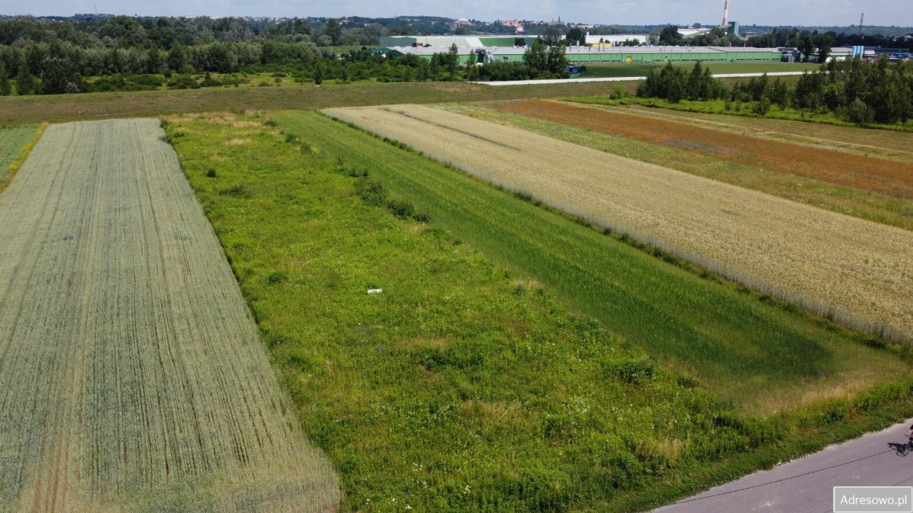 Działka rolno-budowlana Sandomierz, ul. Zarzekowice. Zdjęcie 2