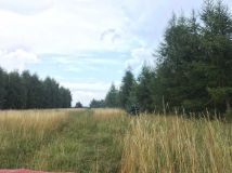 Działka rolna Wyżegi. Zdjęcie 1