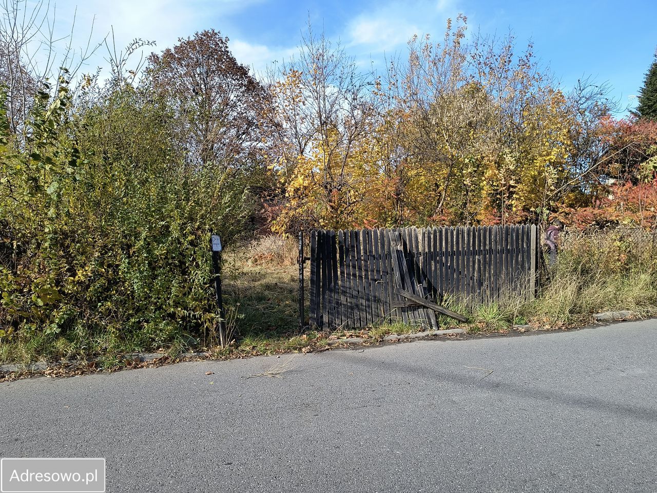 Działka budowlana Wyrazów, ul. Podmiejska. Zdjęcie 2