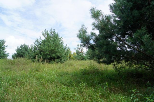 Działka budowlana Nagodów. Zdjęcie 5