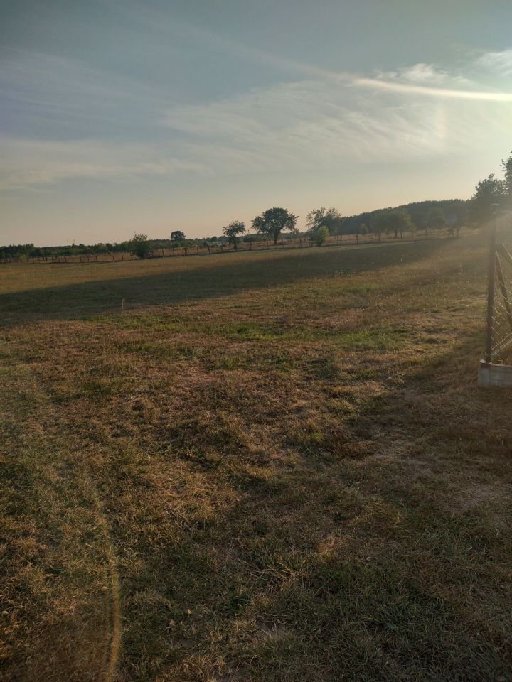 Działka budowlana Nowe Załubice, ul. Piwna. Zdjęcie 2