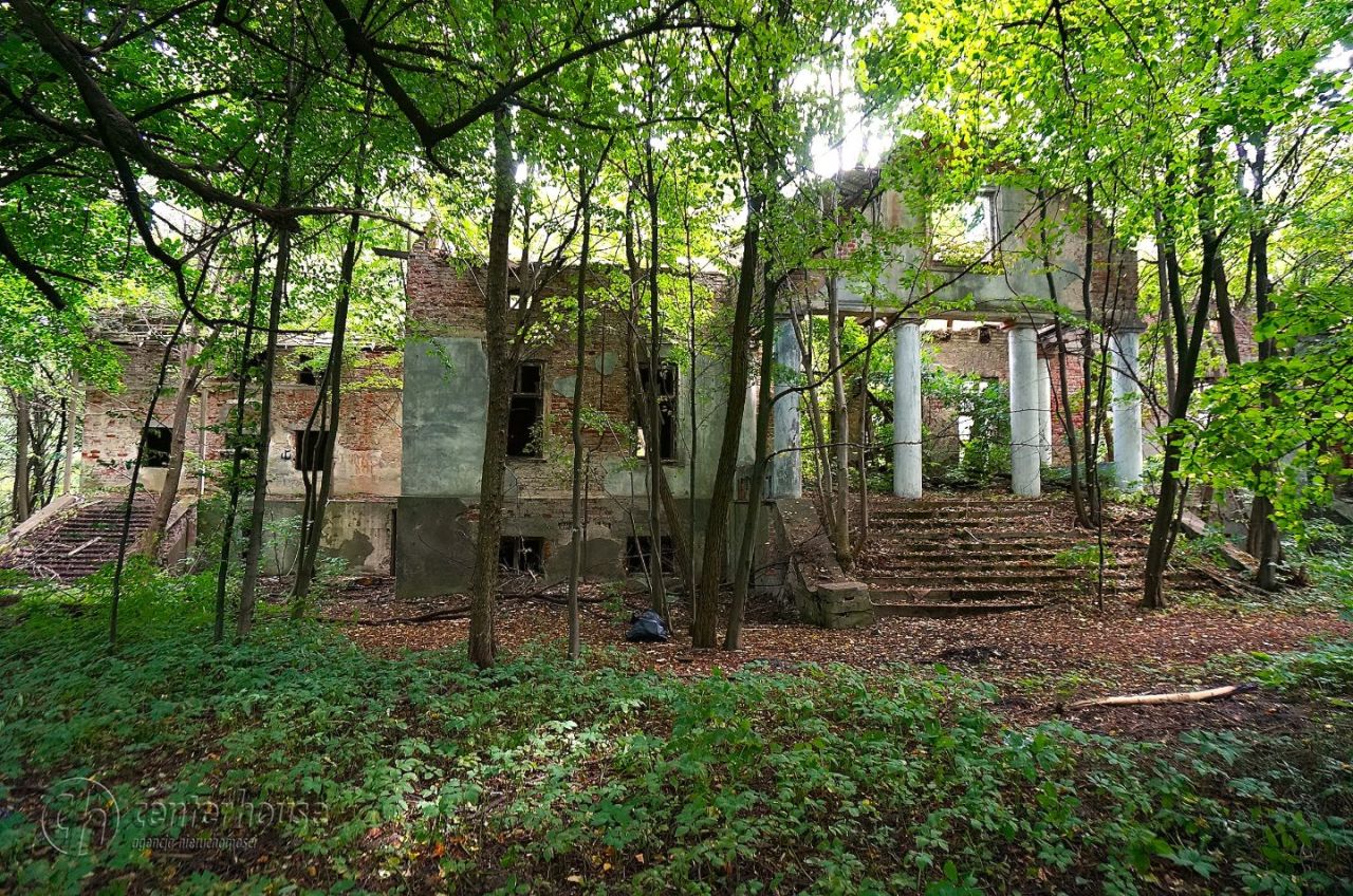 dworek Dąbrowica. Zdjęcie 1