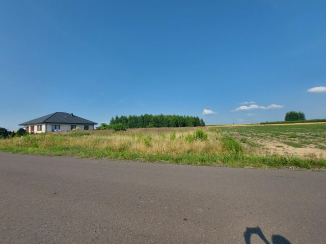 Działka budowlana Pałecznica. Zdjęcie 1