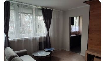 Mieszkanie na sprzedaż Dąbrowa  38 m2
