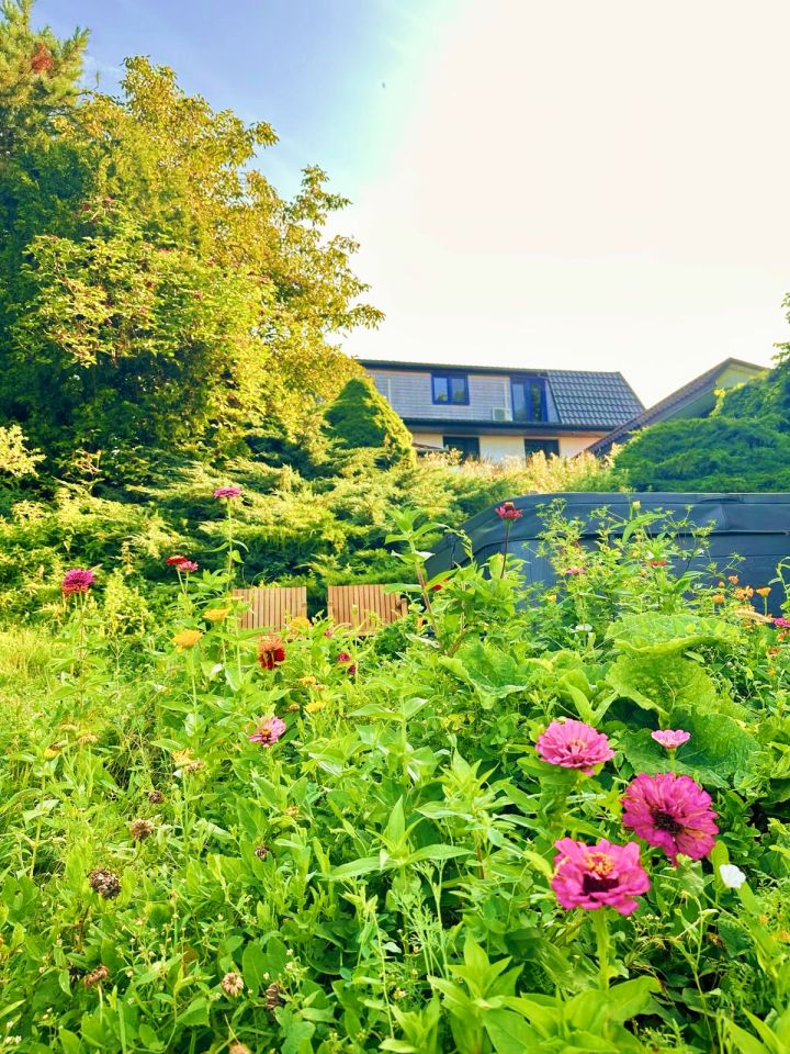Hotel/pensjonat Głody. Zdjęcie 21
