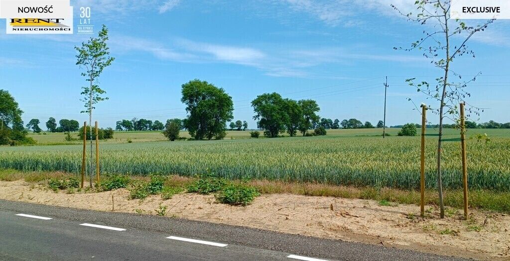 Działka siedliskowa Parsów. Zdjęcie 4