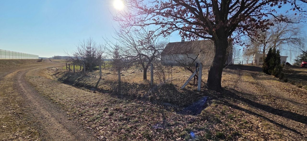 gospodarstwo Płochocin. Zdjęcie 3