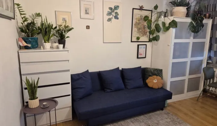 Mieszkanie 2-pokojowe Łódź Teofilów, ul. Traktorowa