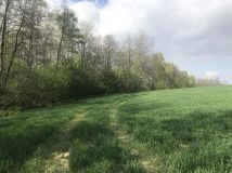 Działka rolna Rzeszów Przybyszówka. Zdjęcie 4