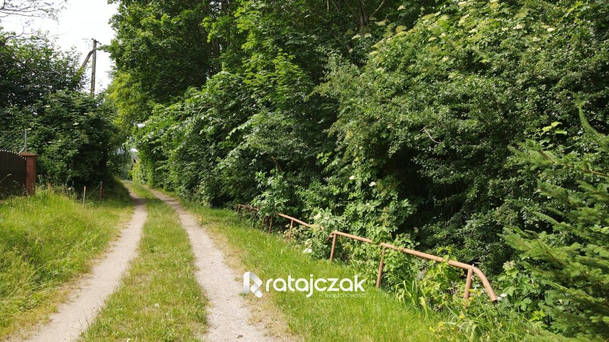 Działka leśna Krzeszna. Zdjęcie 1