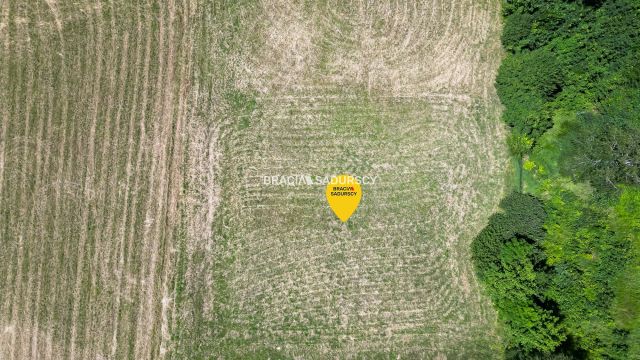 Działka inwestycyjna Mogilany. Zdjęcie 6