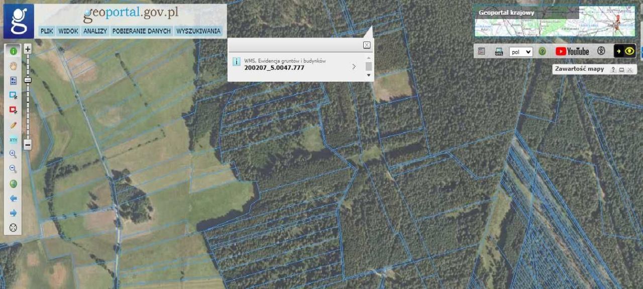Działka leśna Tanica Górna. Zdjęcie 2