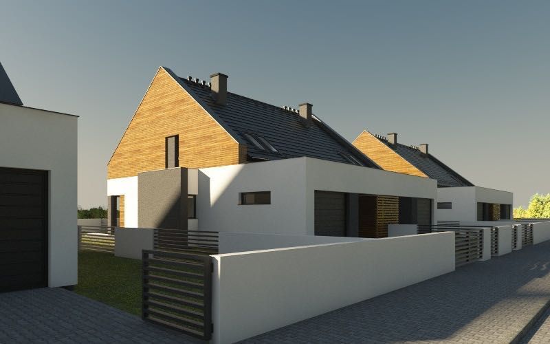 bliźniak Piła Koszyce. Zdjęcie 3