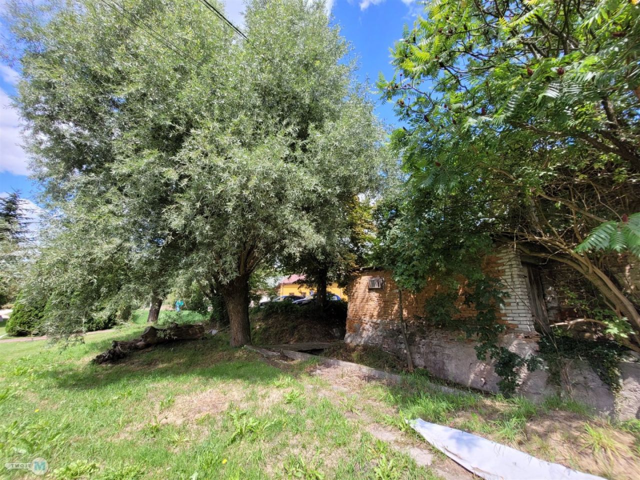 dom wolnostojący, 2 pokoje Działoszyce. Zdjęcie 11