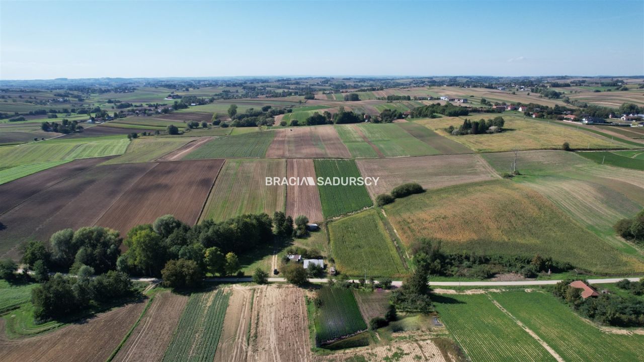 Działka rolna Kazimierza Wielka. Zdjęcie 13