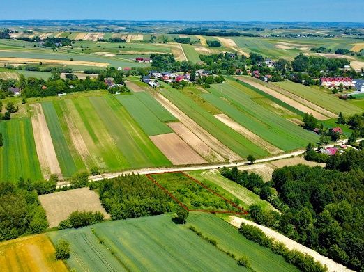 Działka rolno-budowlana Pałecznica. Zdjęcie 2