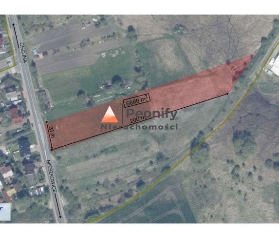 Działka rolno-budowlana Chojna. Zdjęcie 1