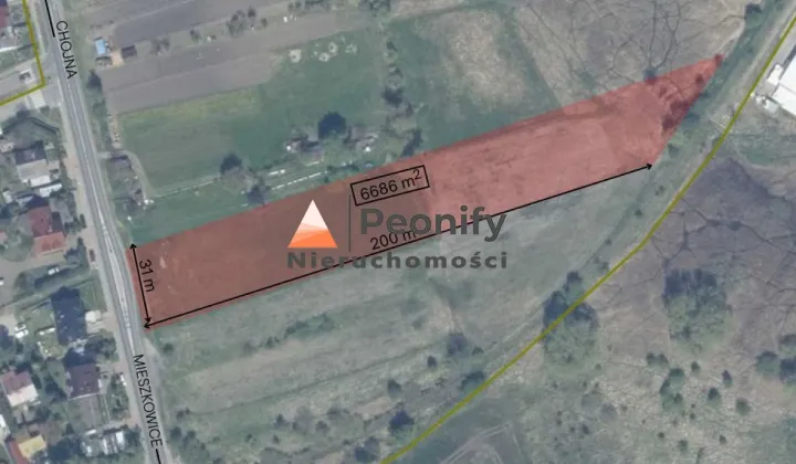 Działka rolno-budowlana Chojna