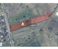 Działka rolno-budowlana Chojna