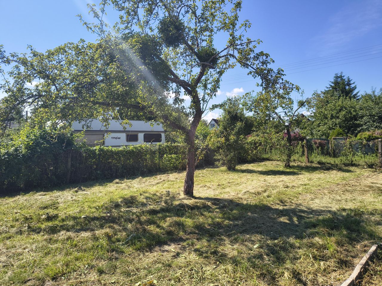 Działka rod Giżycko, ul. Rajska. Zdjęcie 5