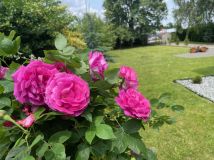 dom wolnostojący Rzeszów Załęże, ul. Załęska. Zdjęcie 3