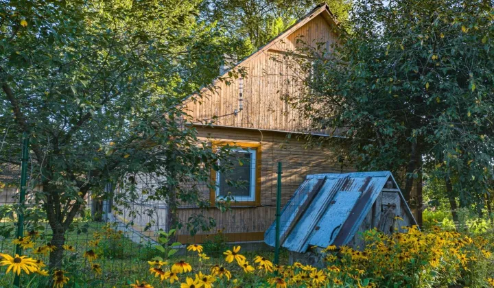 Działka siedliskowa Cimanie