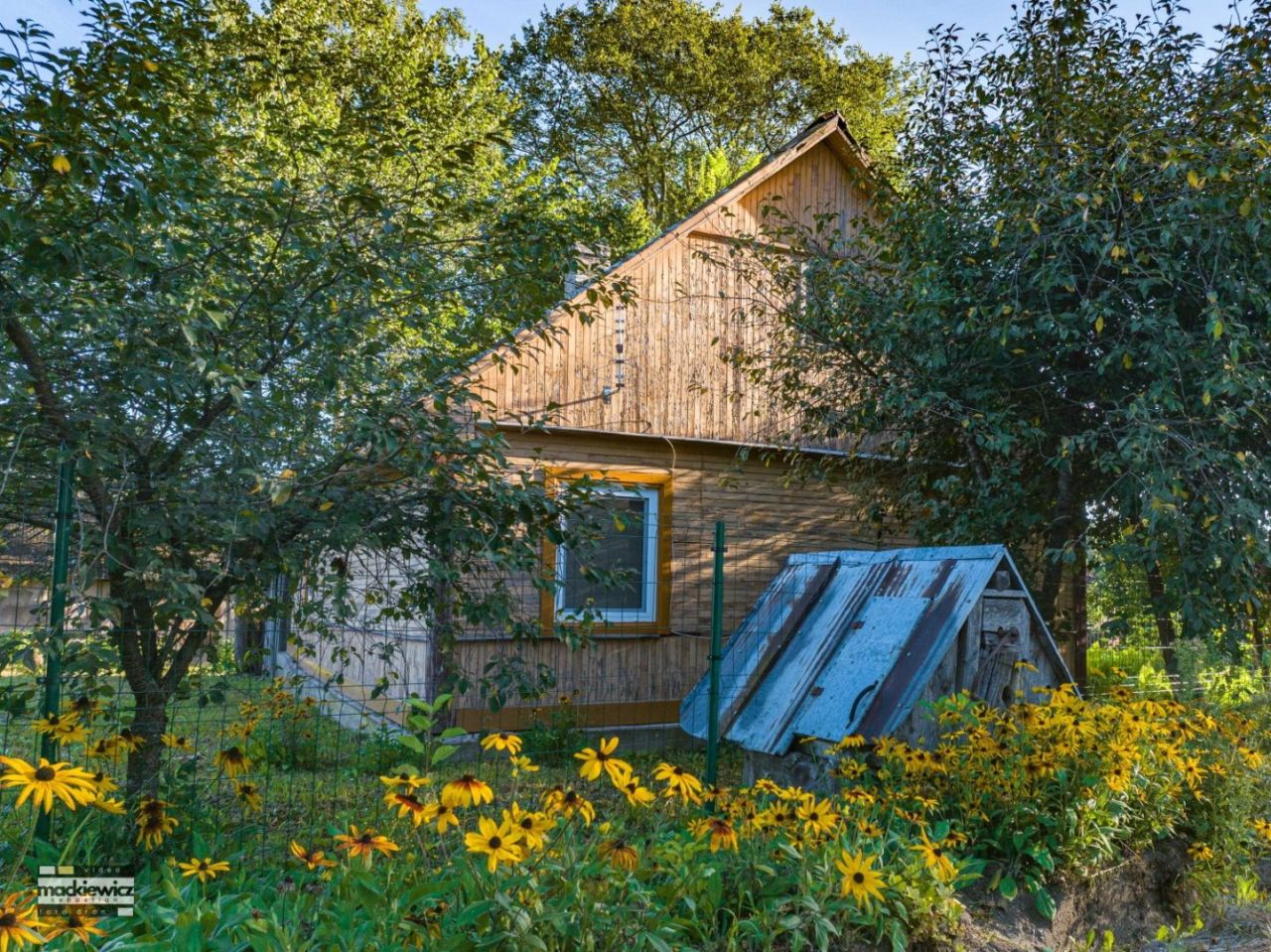 Działka siedliskowa Cimanie. Zdjęcie 1