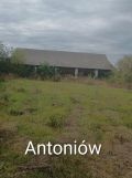 Działka rolna Antoniów Antoniów Duży. Zdjęcie 2