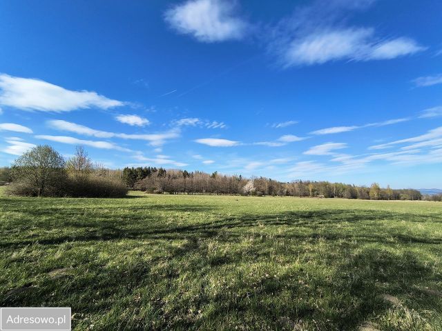 Działka budowlana Starkówek. Zdjęcie 1