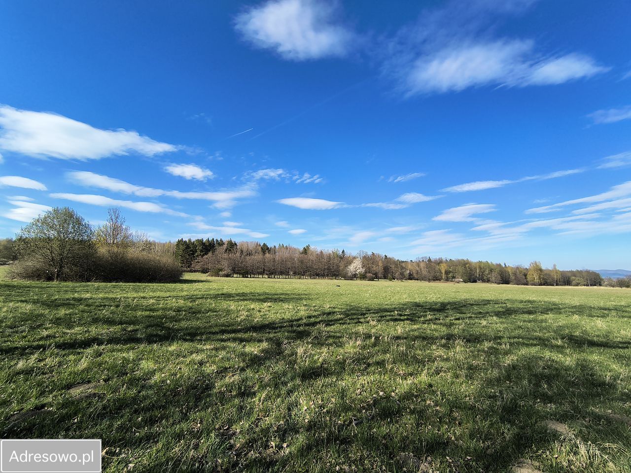 Działka budowlana Starkówek. Zdjęcie 1