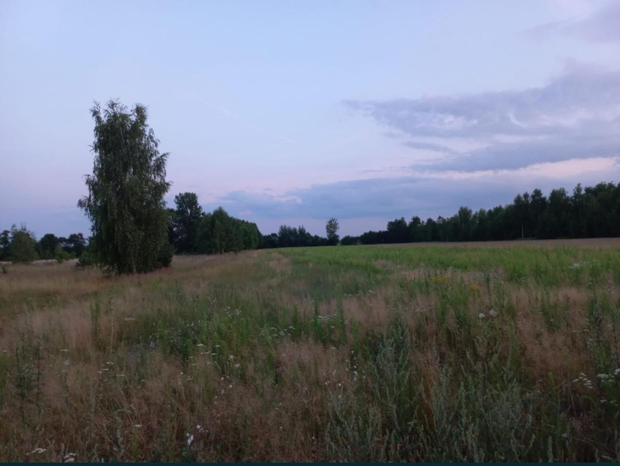 Działka rolna Pomiary. Zdjęcie 2