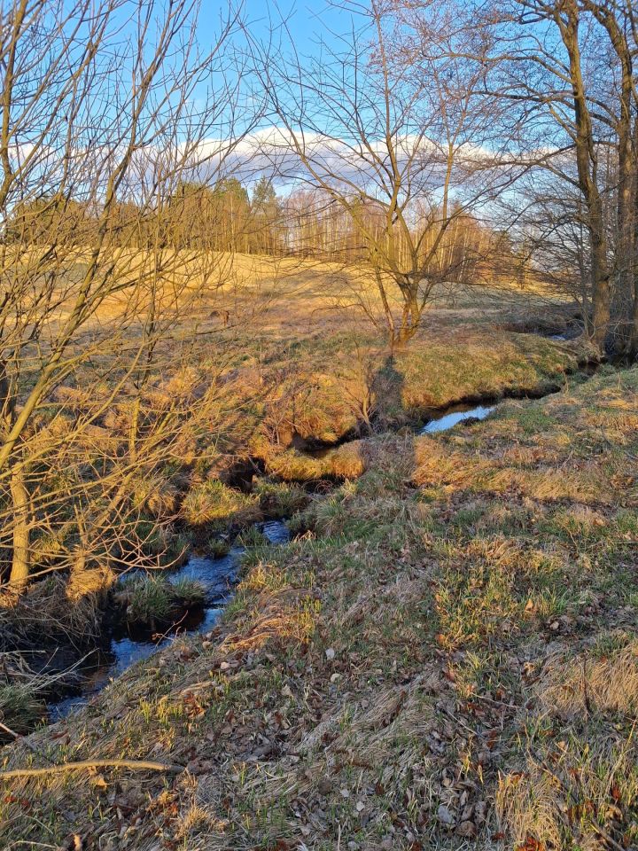 Działka budowlana Wolimierz. Zdjęcie 16