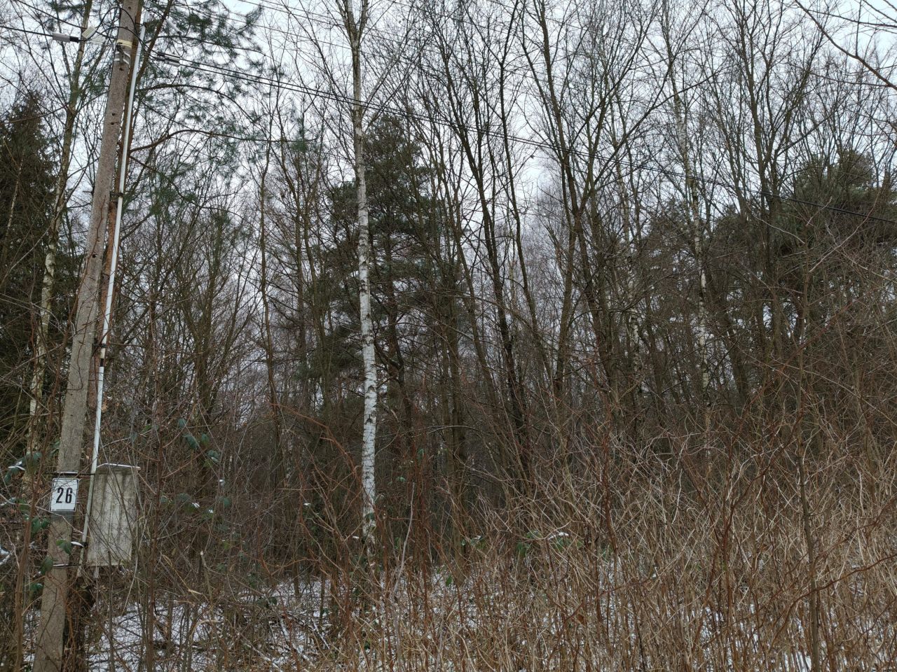 Działka rolno-budowlana Przyłogi Znajoma. Zdjęcie 9